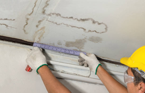 Reliable Water Damage contractor in Chester, NJ by Water Damage Irwin
